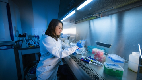 A researcher works in a lab
