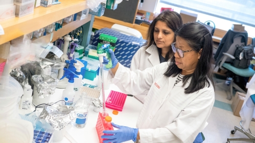 Researchers in white coats use a pipette in a microbiology lab
