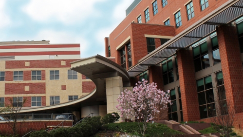 A tree blooms in front of the Cancer Institute of New Jersey building