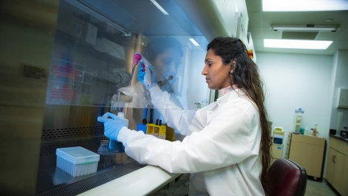A biochemistry and molecular biology postdoctoral associate for Robert Wood Johnson Medical School works in a lab in the RWJMS Research Building