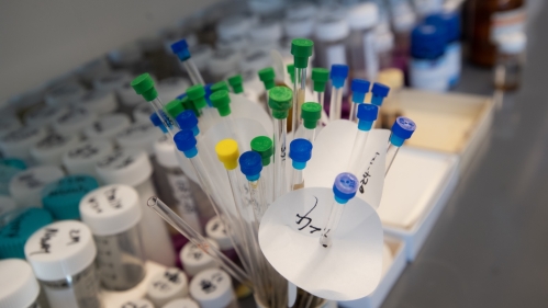 Chemistry vials and pipettes in a lab