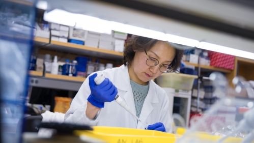 A researcher uses a pipette in a Rutgers lab 