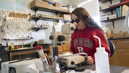 A student looks into a microscope