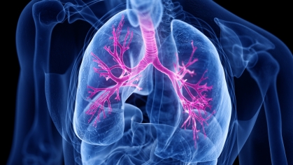 A 3D rendered medically accurate illustration of the lungs and bronchi.