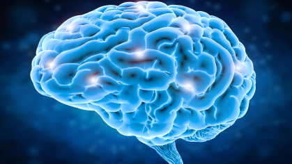 scan of brain