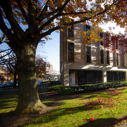 Trees bloom outside Ackerson Hall in Newark