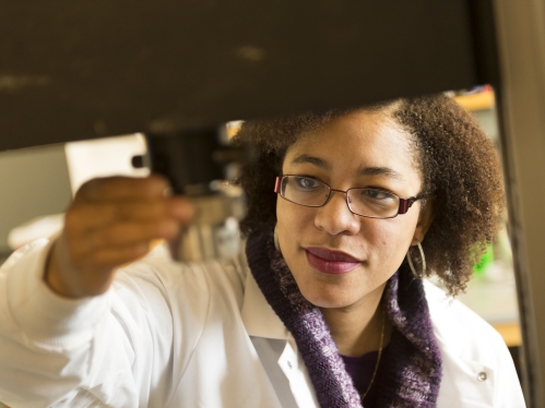 Biomedical engineering postdoc Student