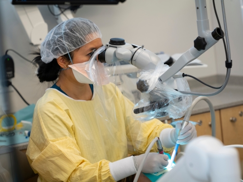 A dental student wearing scrubs looks into a microscope in the school's special clinic