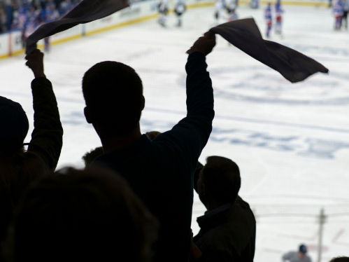 Fans at hockey game