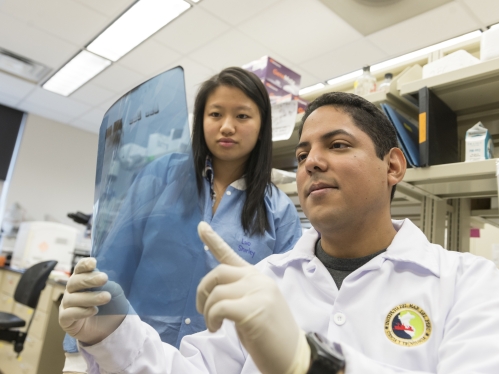 A student and postdoctoral researcher observe data on a sheet of film in a lab