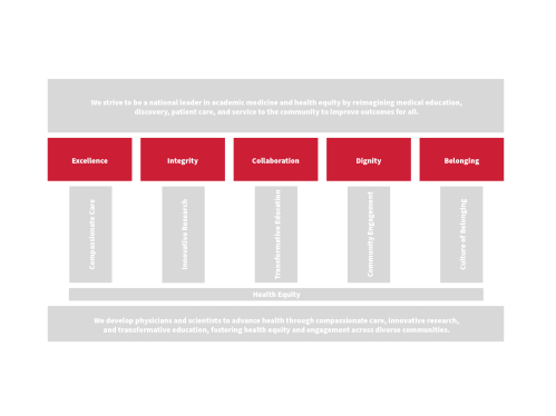 A graphic representing the mission, vision, values and strategic pillars of the future School of Medicine with the values highlighted in red.