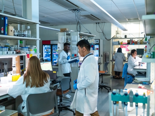 Asthma researchers work in a lab at Rutgers.