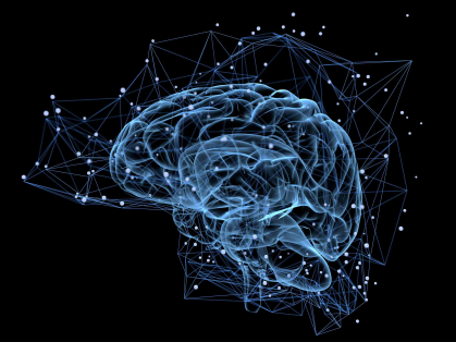 digitized image of a brain in blue against a black background