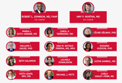 An organization chart showing the structure of the integration executive committee