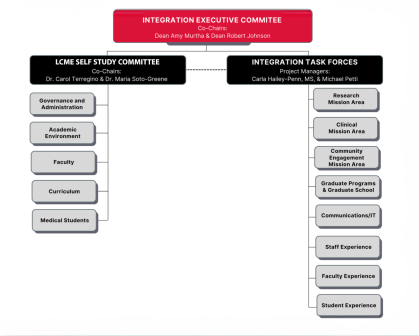 Graphic representation of the integration framework reporting structure