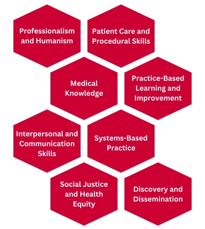 A cluster of hexagons showing the 8 core competencies of the future school of medicine: Professionalism and&nbsp;Humanism, Patient Care and Procedural Skills,  Medical Knowledge,  Practice-Based Learning and Improvement , Interpersonal and Communication Skills,  Systems-Based Practice,  Social Justice and Health Equity , and Discovery and Dissemination.