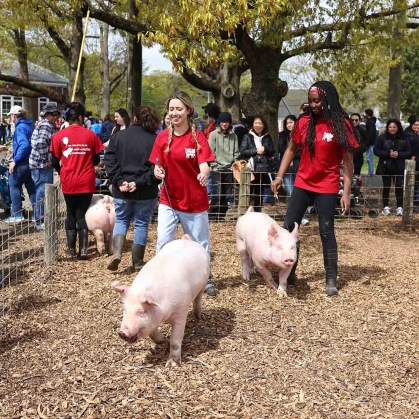There will be animal handling and fitting shows of pigs, cattle, sheep, goats and horses at the Red Barn on College Farm Road.