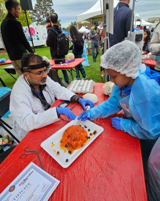 Gaurav Gupta (left), a professor in the Department of Neurosurgery at Robert Wood Johnson Medical School, leads Morgan Nathan through a demonstration of Jell-O "brain surgery" on Busch campus in 2024.